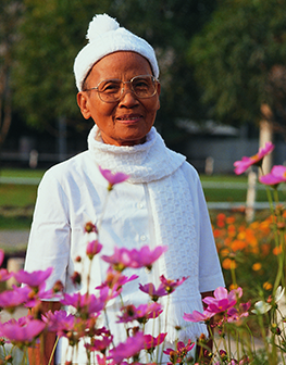 คุณยายฯจันทร์ ขนนกยูง